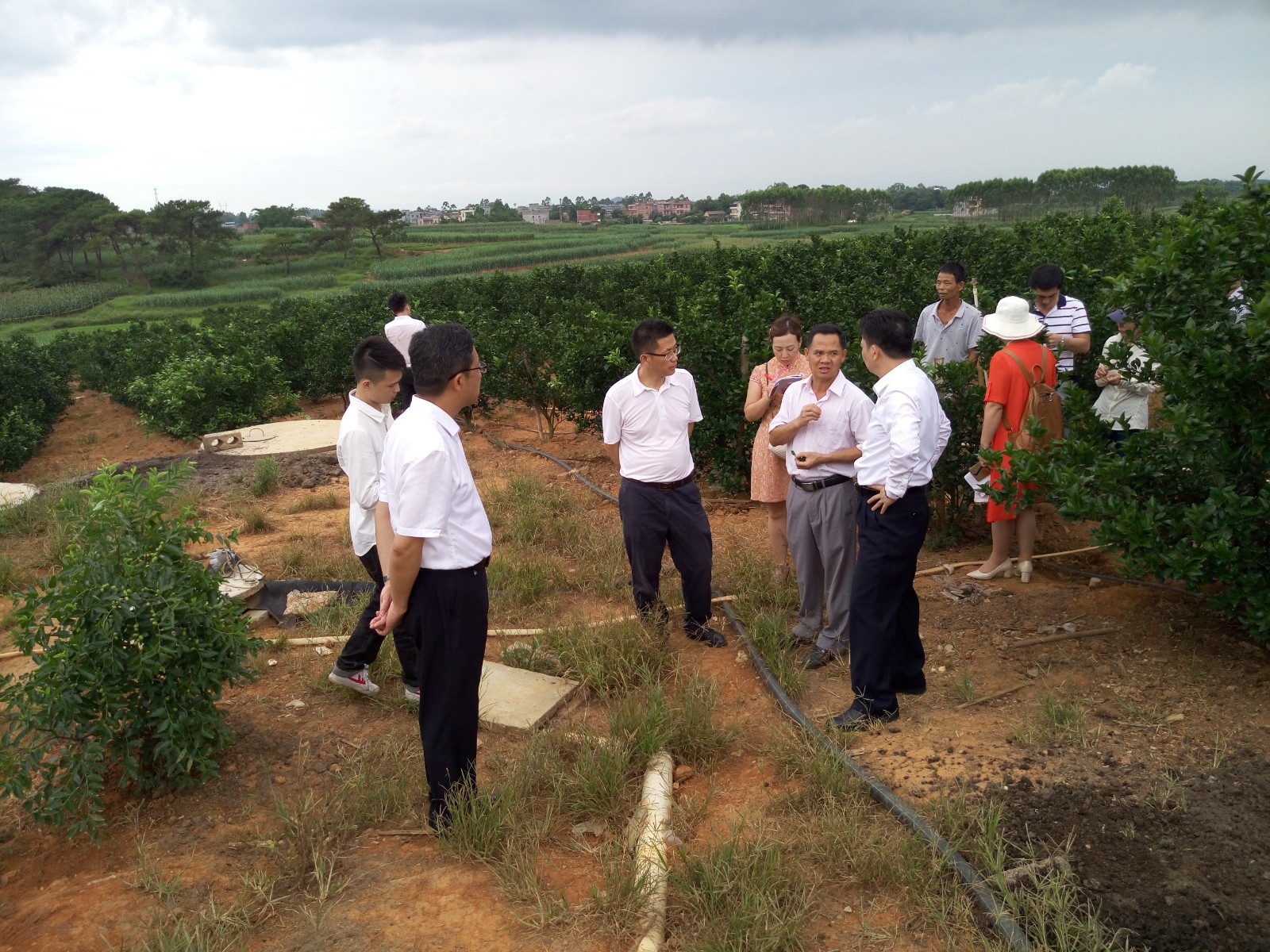 商業(yè)策劃公司